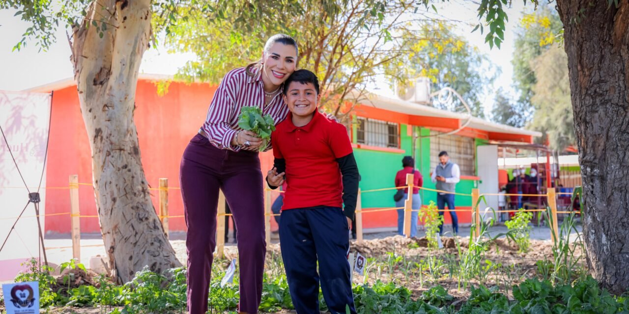 EN BC MÁS DE 9 MIL 300 PERSONAS SE HAN BENEFICIADO CON LOS HUERTOS ESCOLARES Y COMUNITARIOS: GOBERNADORA MARINA DEL PILAR