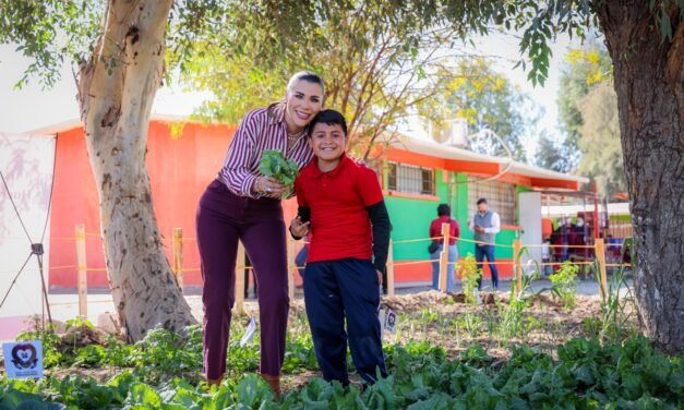 EN BC MÁS DE 9 MIL 300 PERSONAS SE HAN BENEFICIADO CON LOS HUERTOS ESCOLARES Y COMUNITARIOS: GOBERNADORA MARINA DEL PILAR