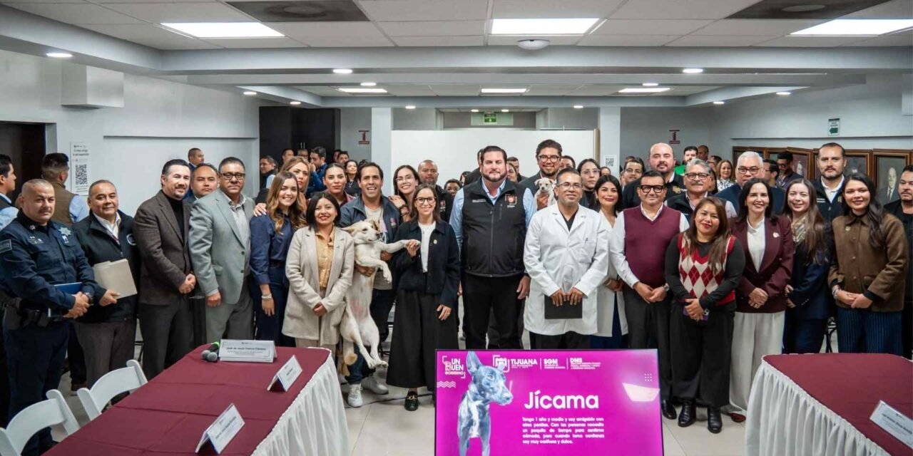 Instala Ayuntamiento de Tijuana el Consejo Consultivo Municipal para la Protección y Bienestar de los Animales Domésticos